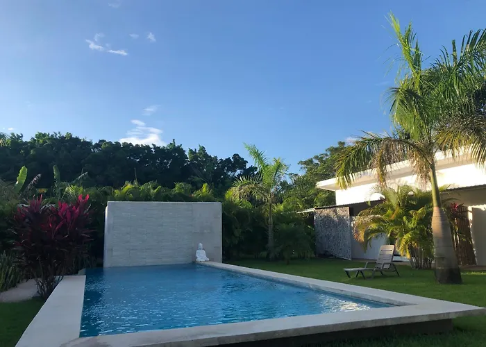 Seahorse Tamarindo
