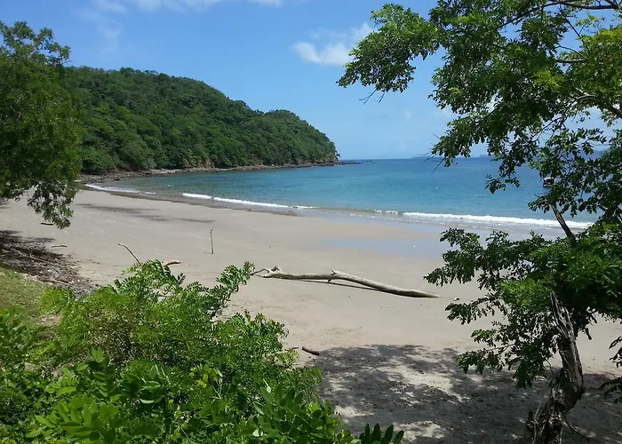 Seahorse Bed & Breakfast Tamarindo