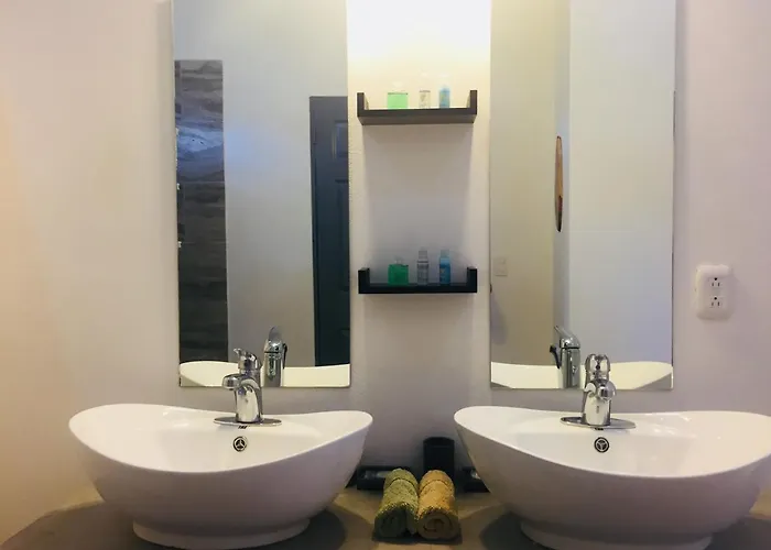 Seahorse Tamarindo