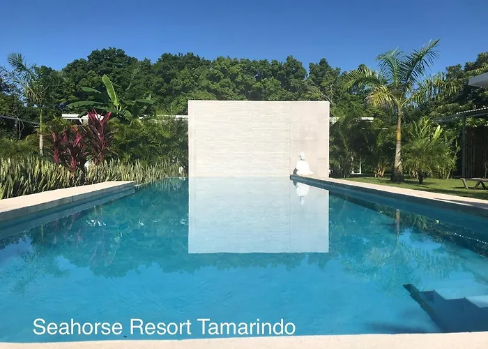 Seahorse 4*