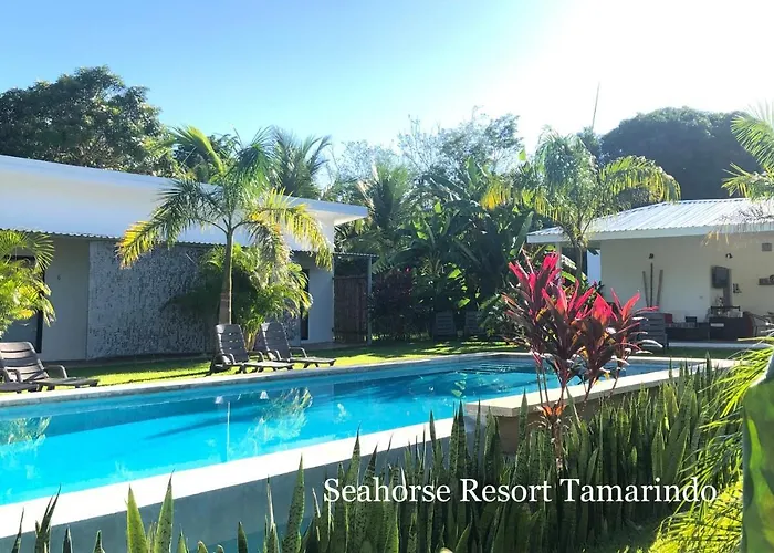 Bed & Breakfast Seahorse 4*